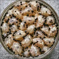 Pickled Garlic Cloves for 16 Servings