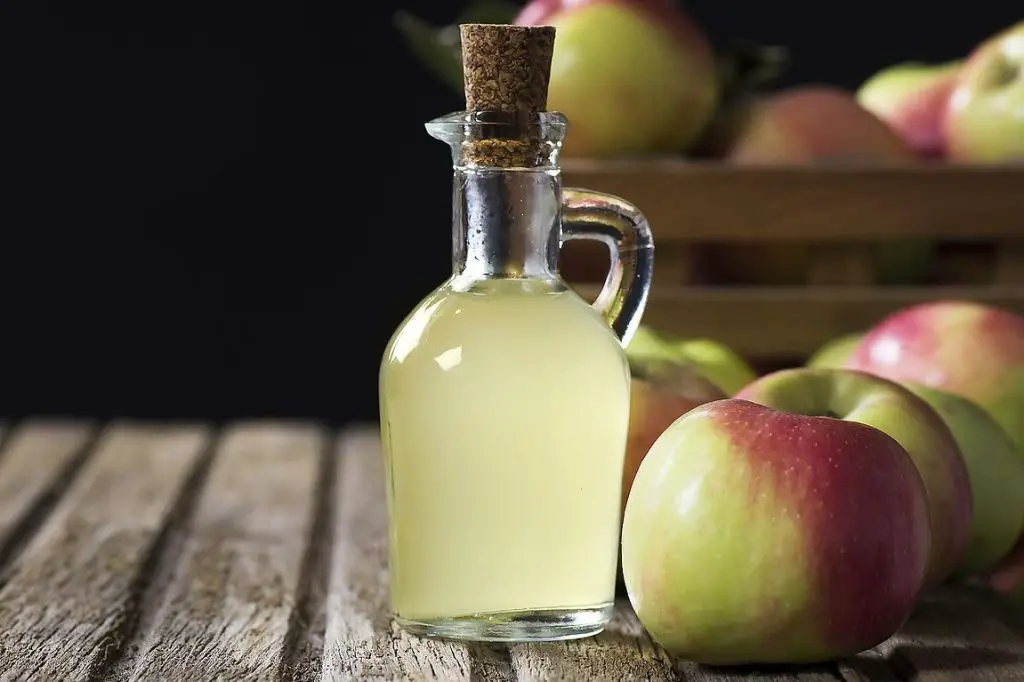 Lemon Juice And Apple Cider Vinegar Recipe