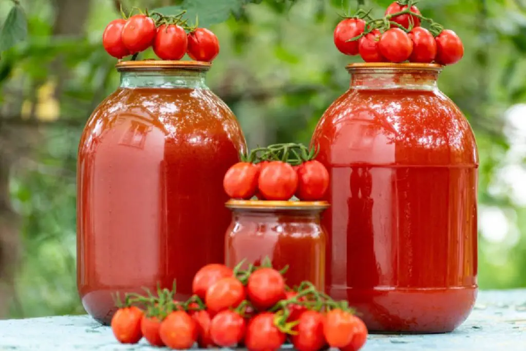 Canning Tomato Juice Ball Recipe
