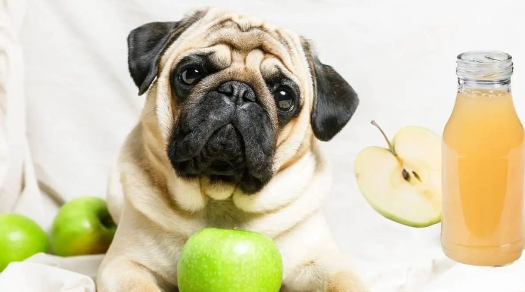 Is Apple Juice Good For Dogs?